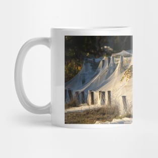 Shrouded vines - Magpie Springs - Adelaide Hills - Fleurieu Peninsula - Australia Mug